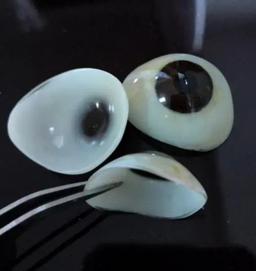 韶關(guān)南雄義眼片