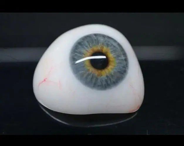 韶關(guān)南雄義眼片